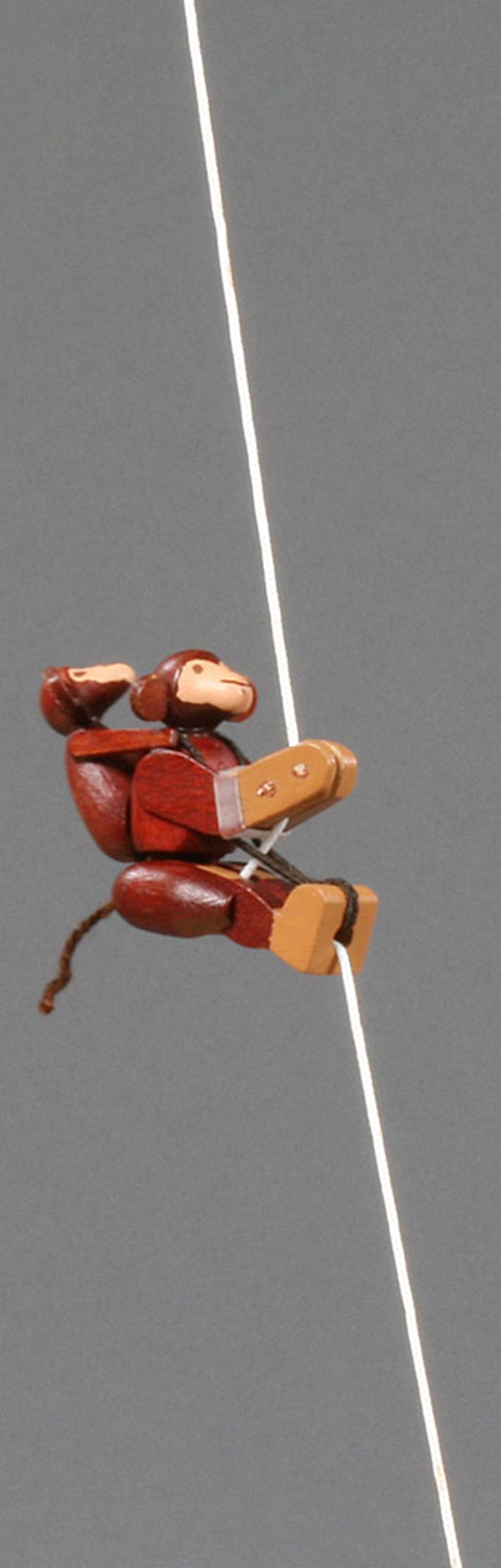 Kletteraffe mit Jungem auf dem Rücken