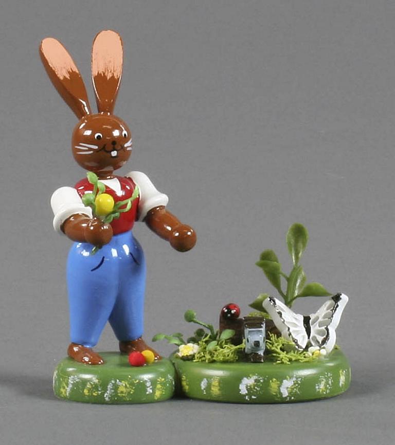 Hase Frühlingserwachen