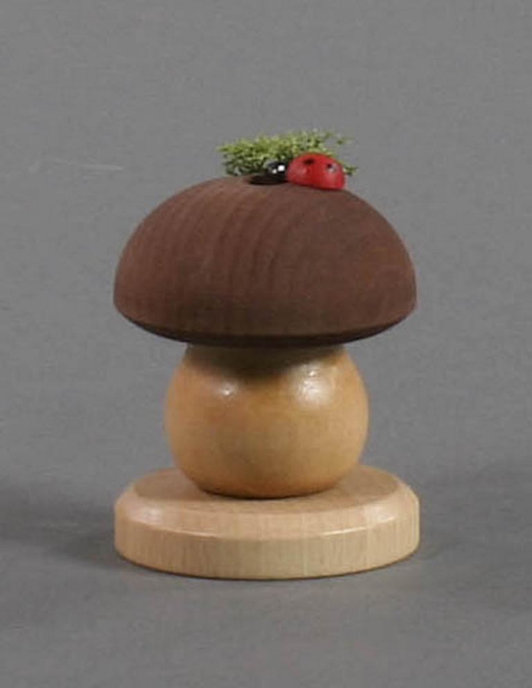 Räucherpilz Braunkappe mit Käfer