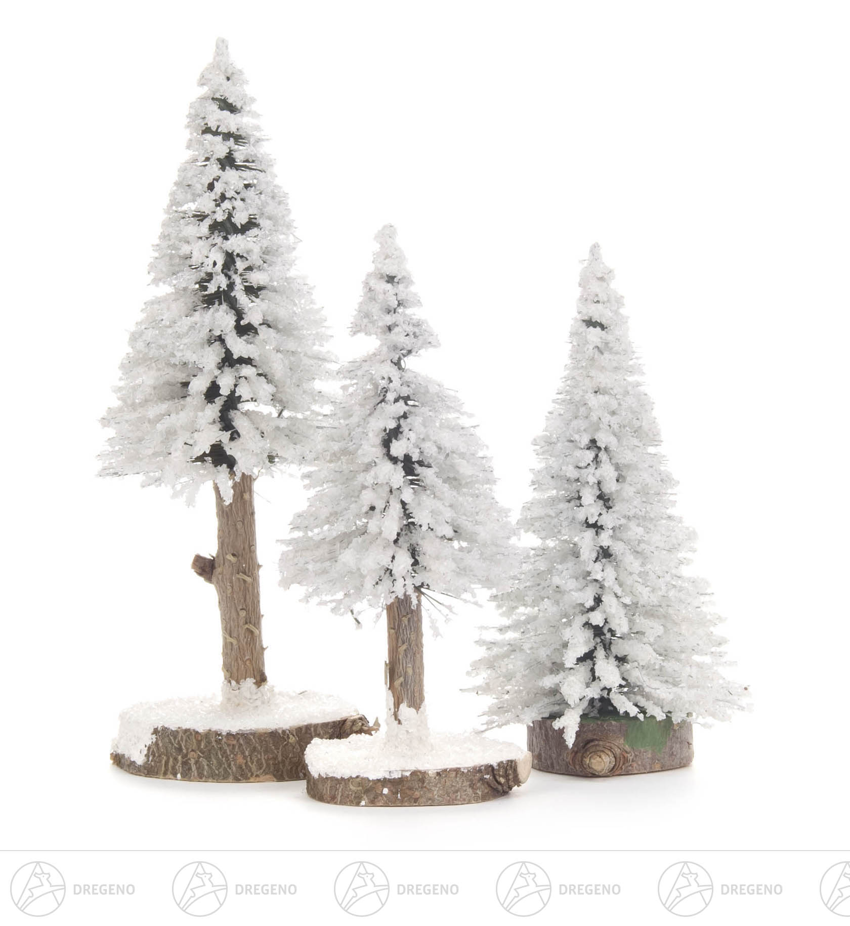 Fichte weiß, 12-16cm (3)